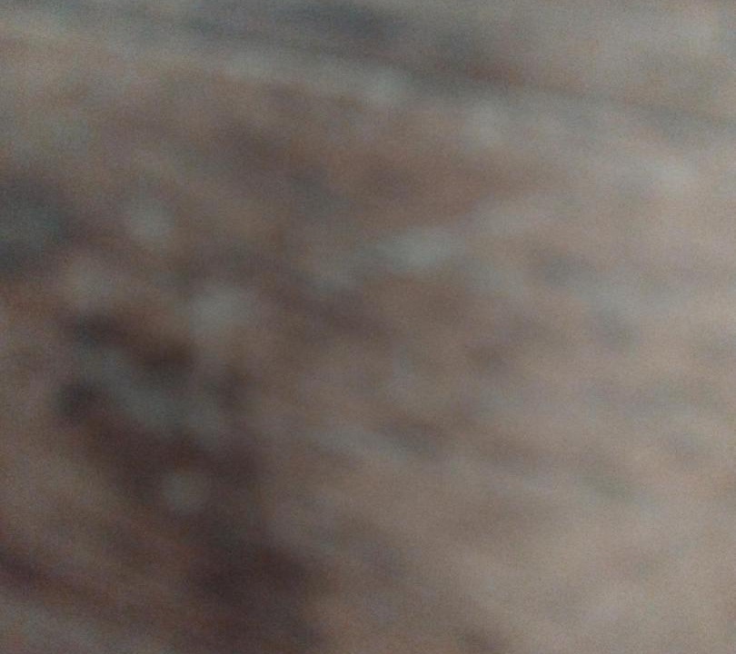 Photo of Others in Mauleon-Barousse