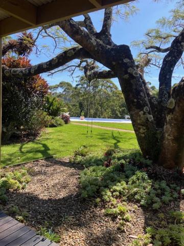 Photo of Others in Terranora