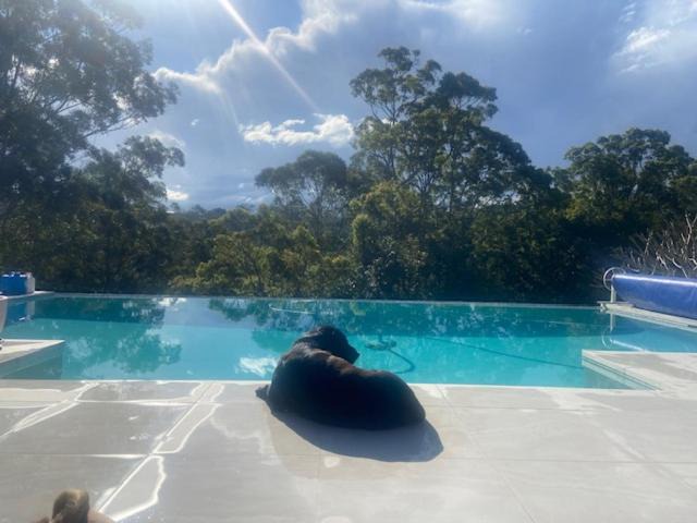 Photo of Others in Terranora