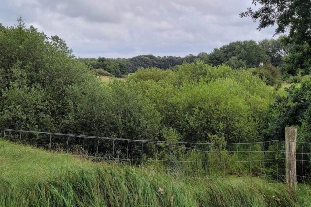 Photo of Others in Hovborg