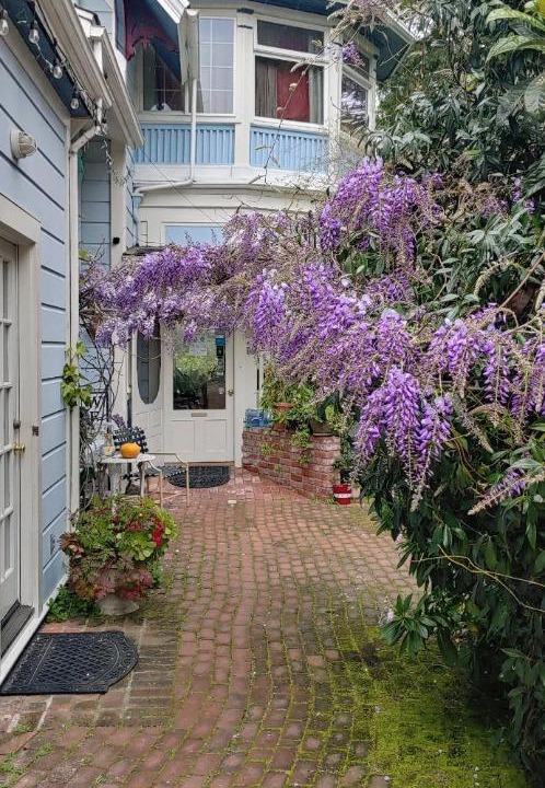 Photo of Others in Beach Hill - Beach Flats