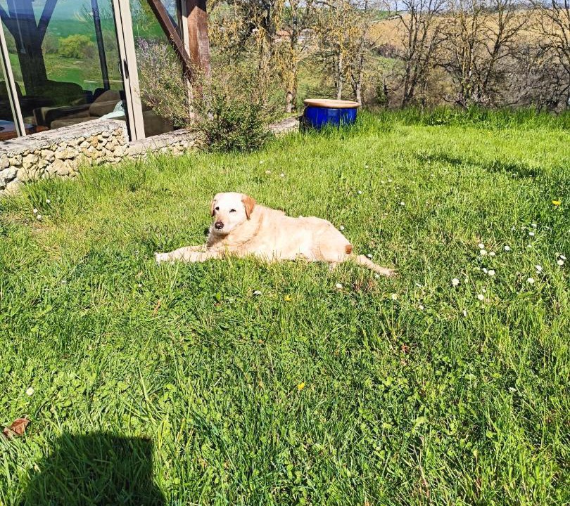 Photo of Others in Cazac