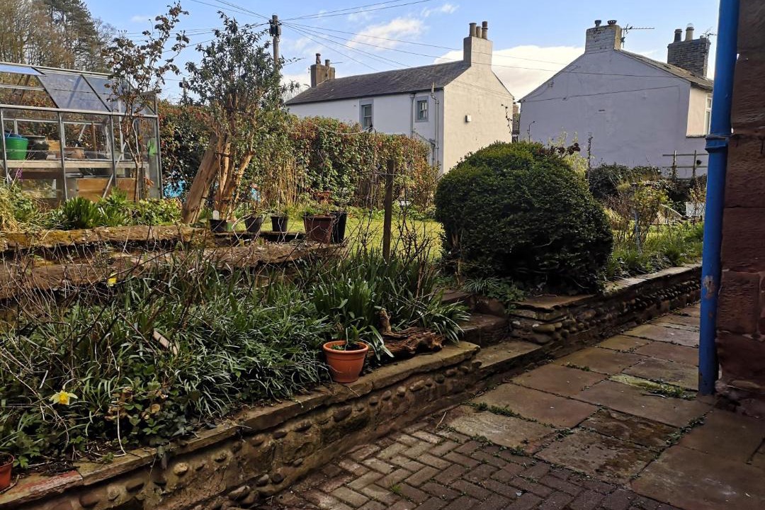 Photo of Others in Wing