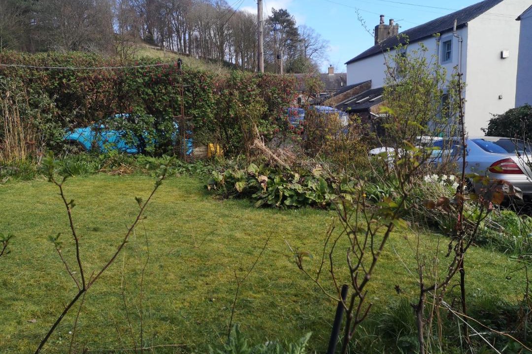 Photo of Others in Wing