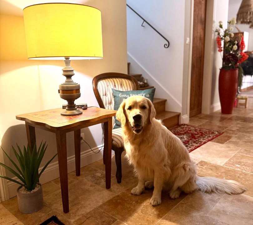 Photo of Others in Saint-Romain