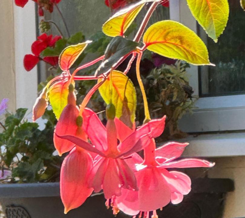 Photo of Others in South Newton