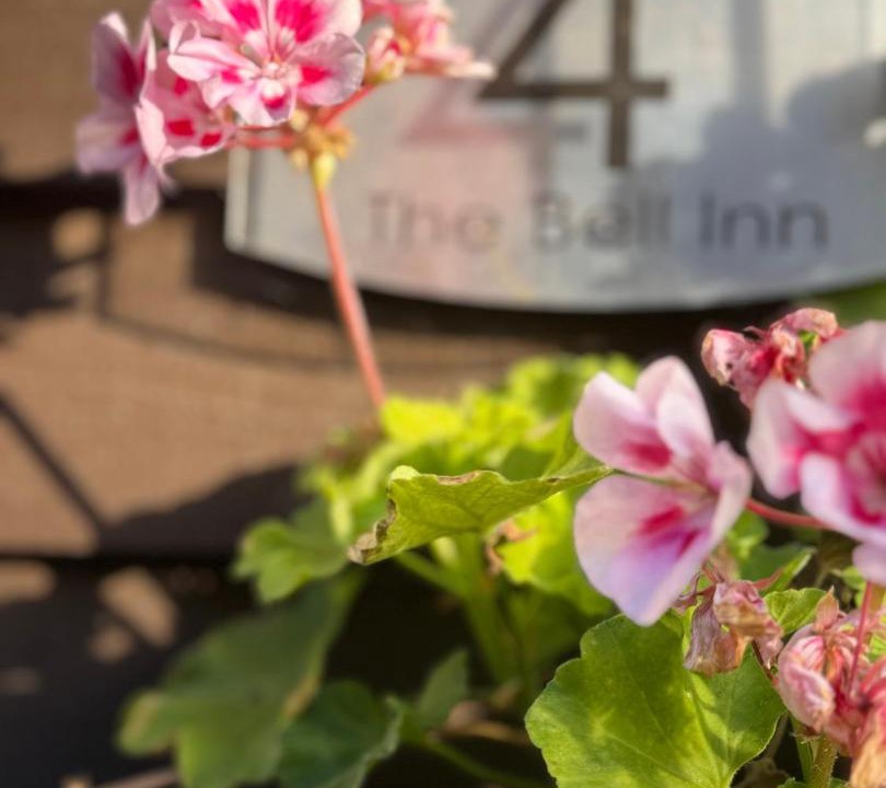 Photo of Others in South Newton