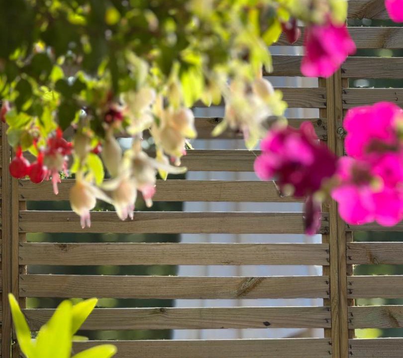 Photo of Others in South Newton