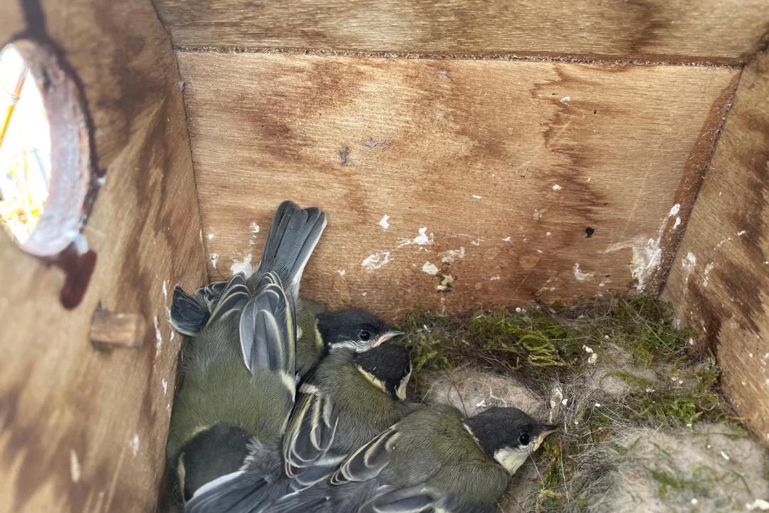 Photo of Others in Ganges