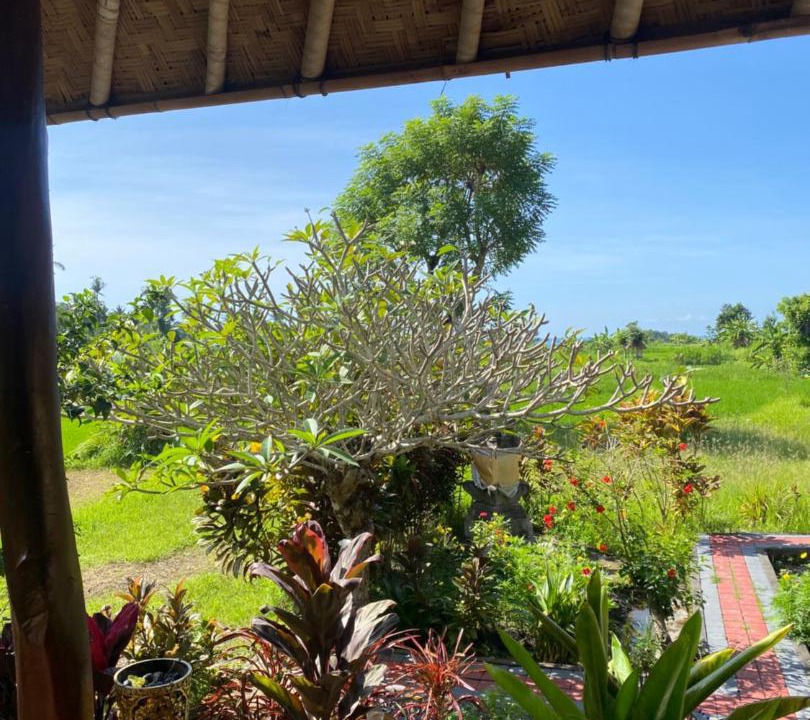 Photo of Others in Sengkidu