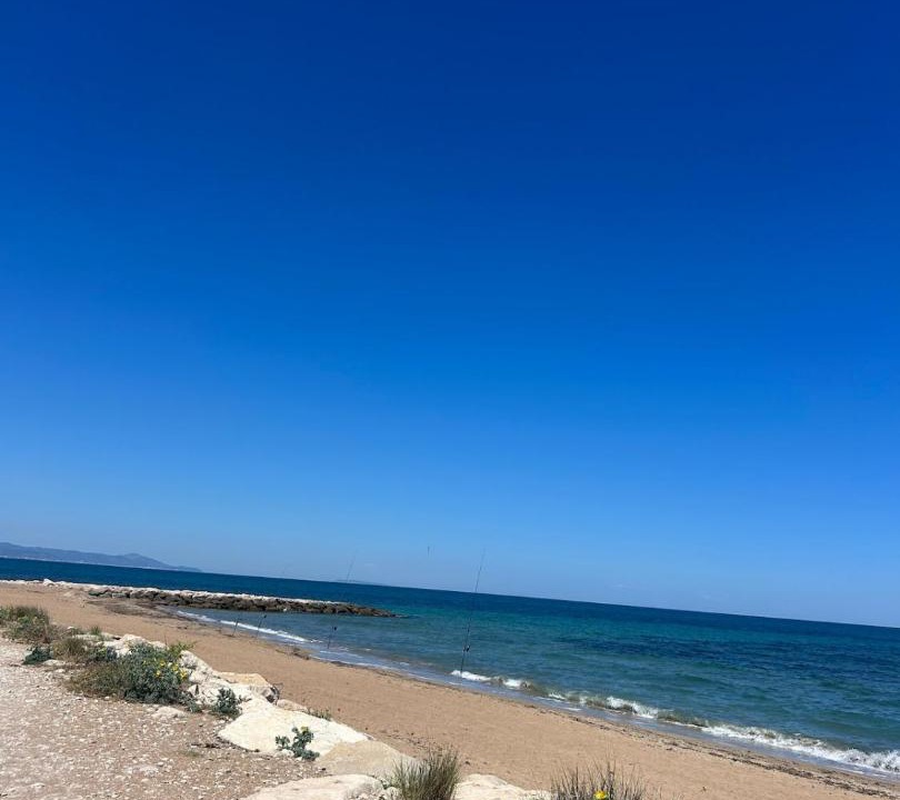 Photo of Others in Almadrava Beach