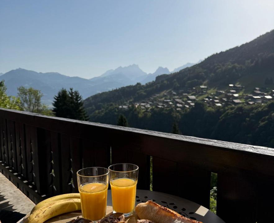 Photo of Patio Balcony in Troistorrents
