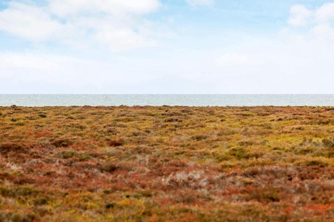 Photo of Others in Læsø