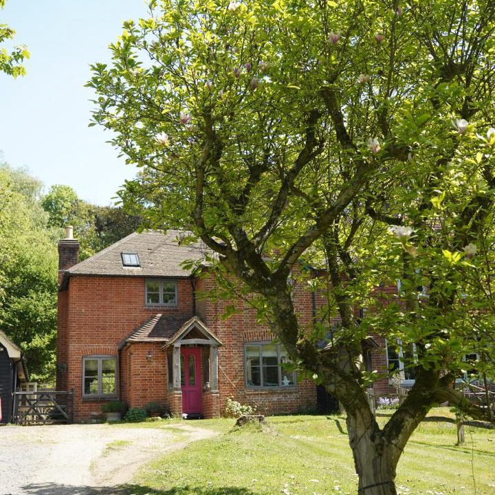 Photo of Others in Petersfield