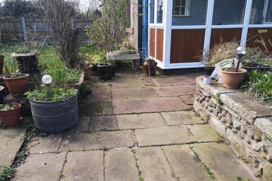 Photo of Others in Wing