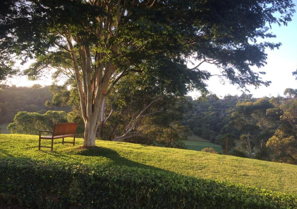 Photo of Others in Terranora