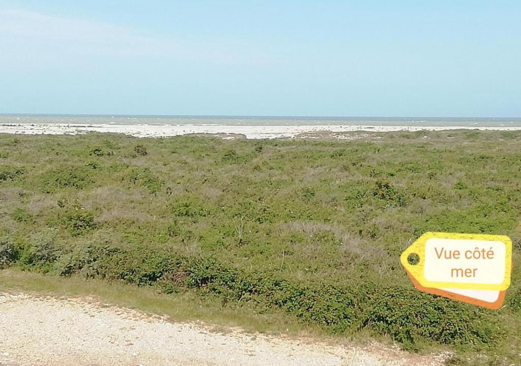 Photo of Others in Cayeux-sur-Mer