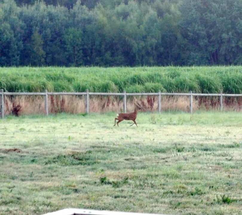 Photo of Others in Saint-Gervais-du-Perron