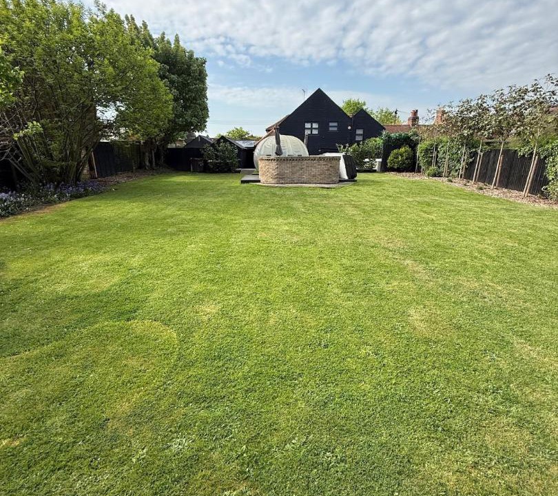 Photo of Others in Chelmsford