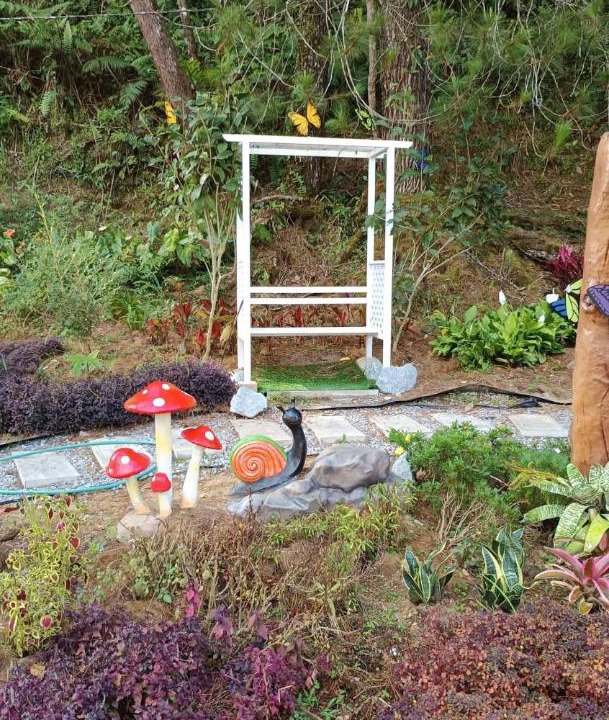 Photo of Outdoor in Bukit Fraser