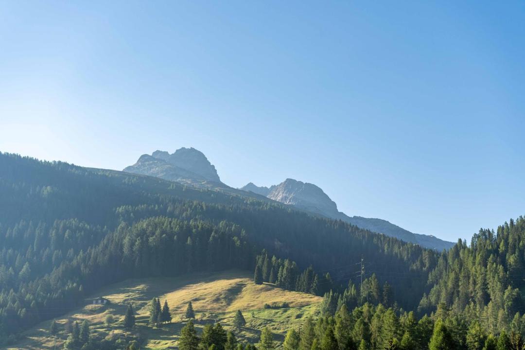 Photo of Others in Spluegen