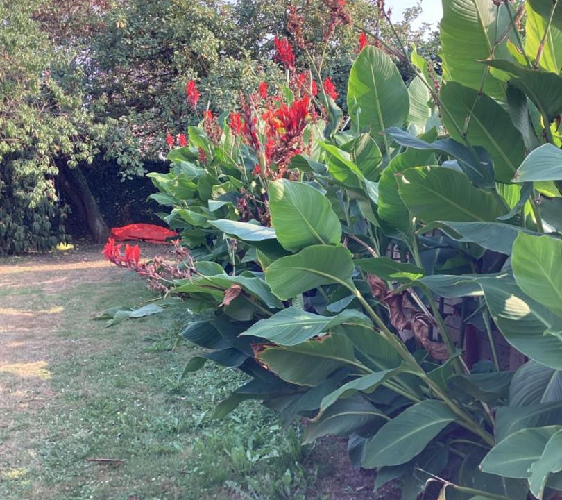 Photo of Outdoor in Lecelles