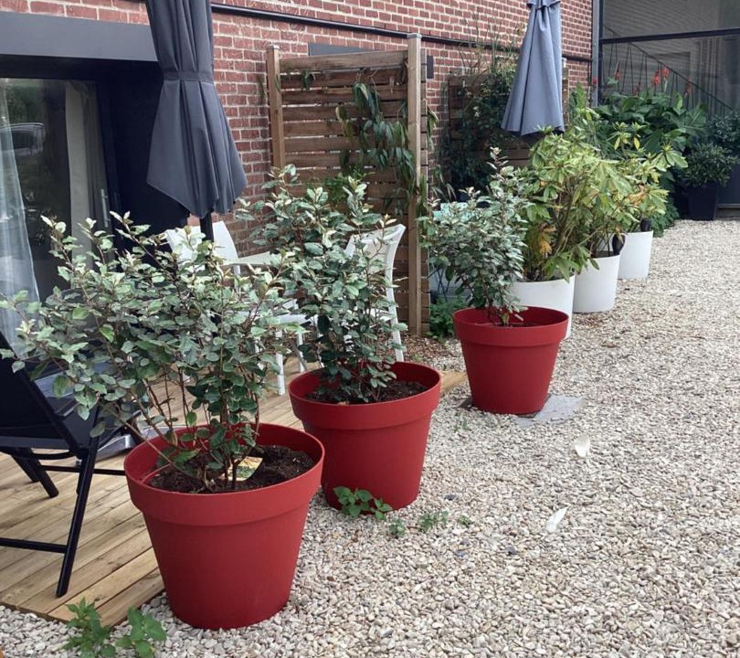 Photo of Others in Lecelles