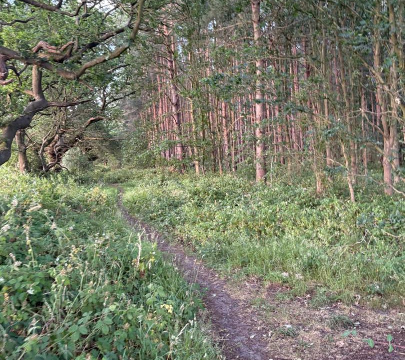 Photo of Others in Kenwick