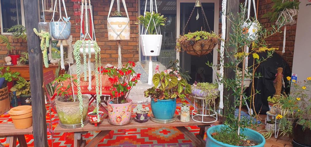 Photo of Others in South Durras