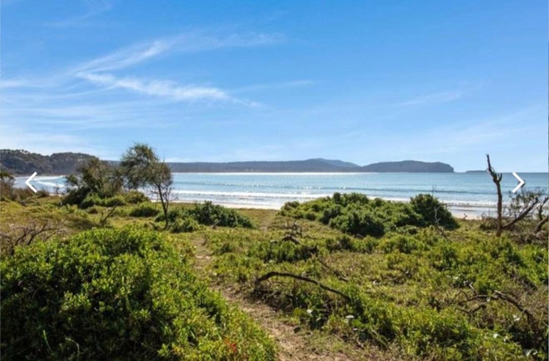 Photo of Others in South Durras