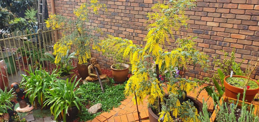 Photo of Others in South Durras