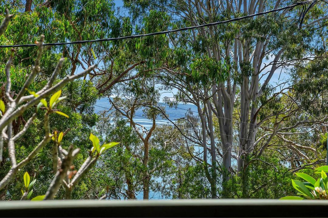 Photo of Others in Boreen Point