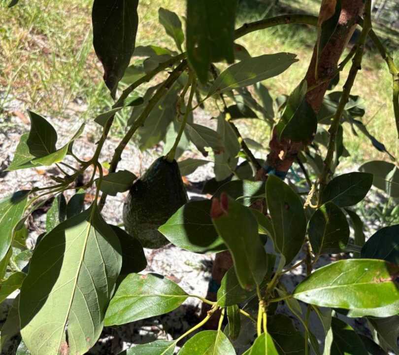 Photo of Outdoor in Laurel