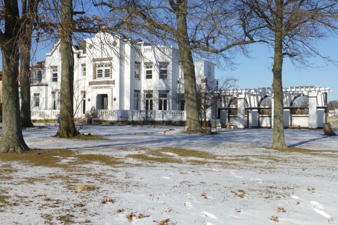 Photo of Others in New Rochelle