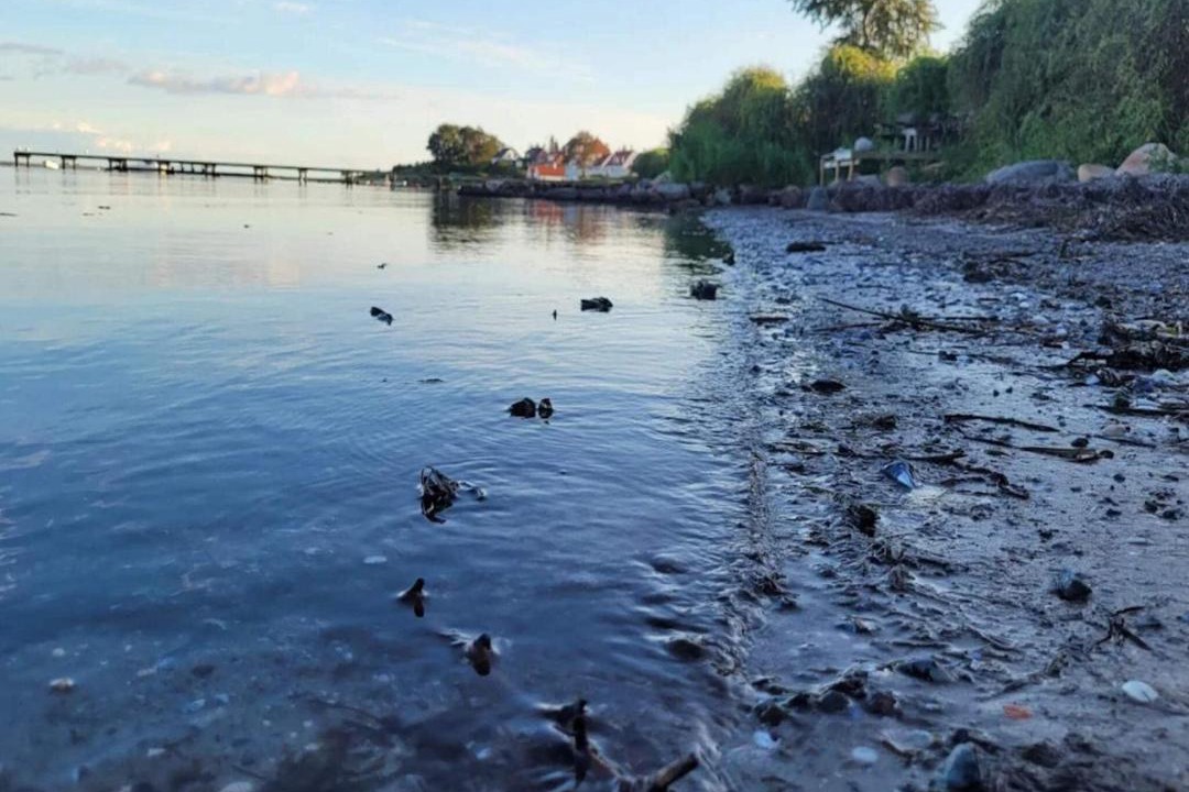 Photo of Others in Faaborg