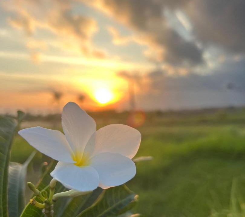 Photo of Others in Medewi