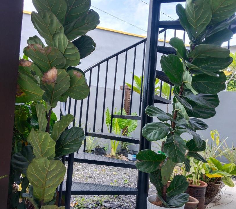 Photo of Others in Kuala Teriang