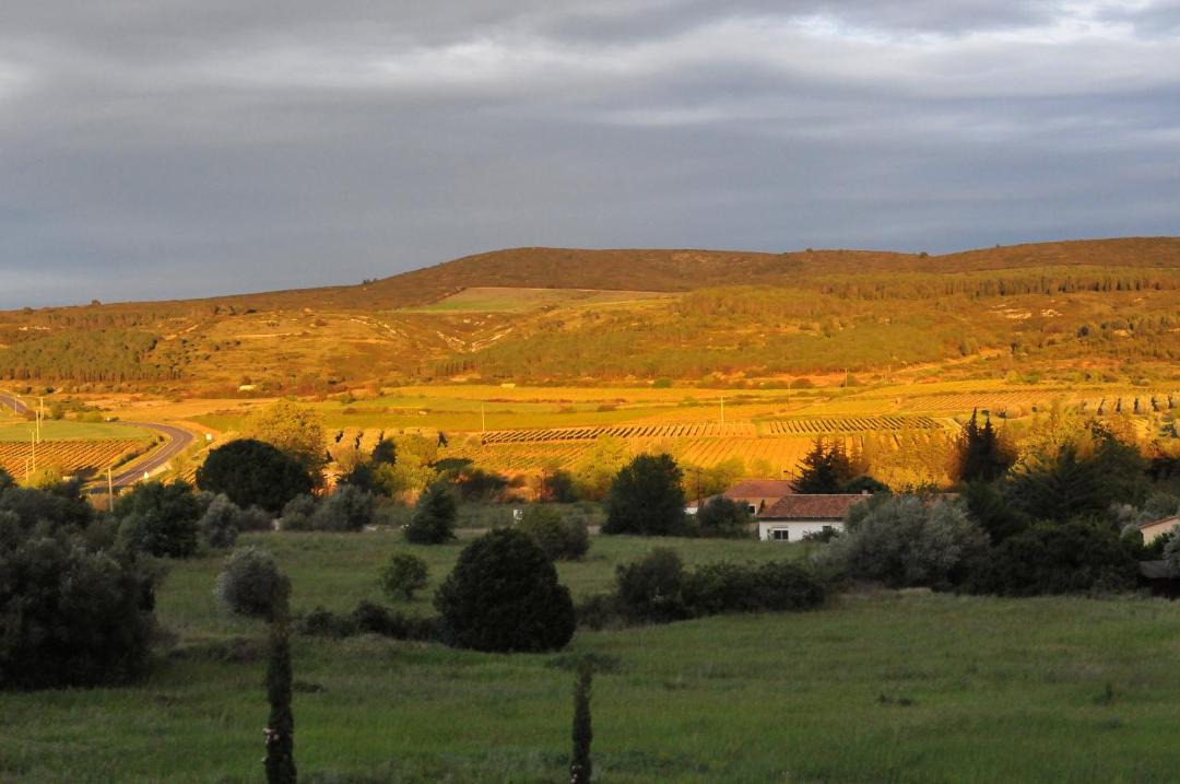 Photo of Others in Villeveyrac