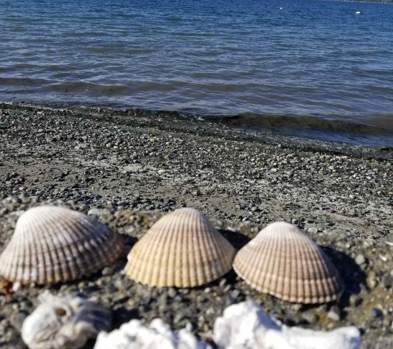 Photo of Others in Birch Bay