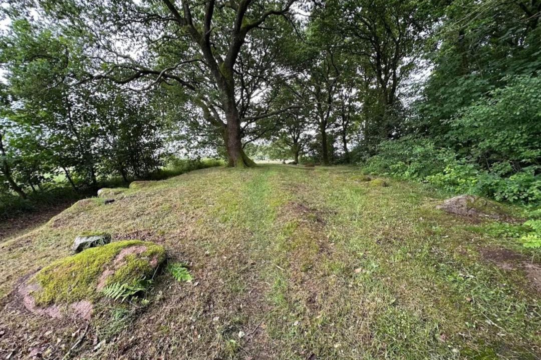 Photo of Others in Hovborg