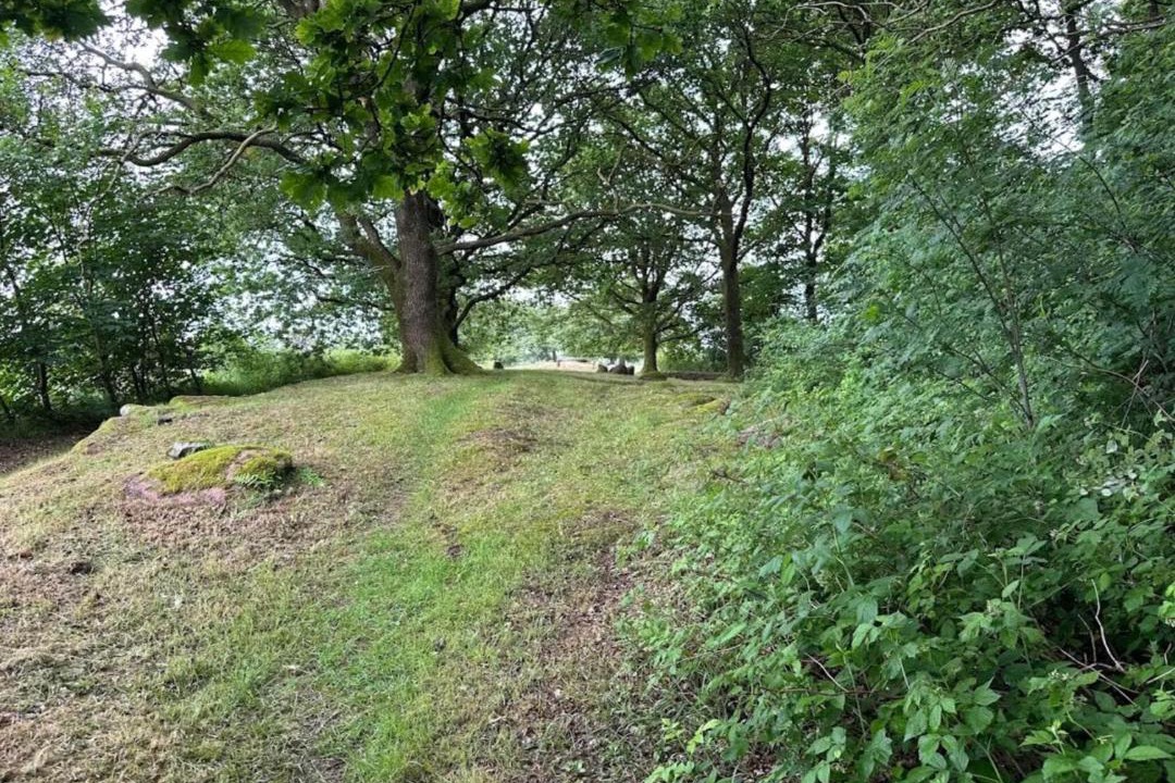 Photo of Others in Hovborg