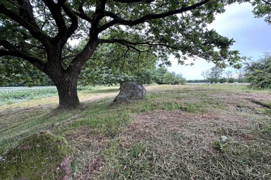 Photo of Others in Hovborg