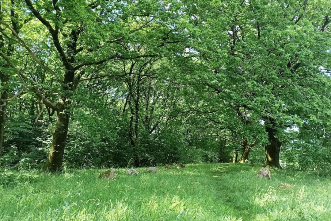 Photo of Others in Hovborg