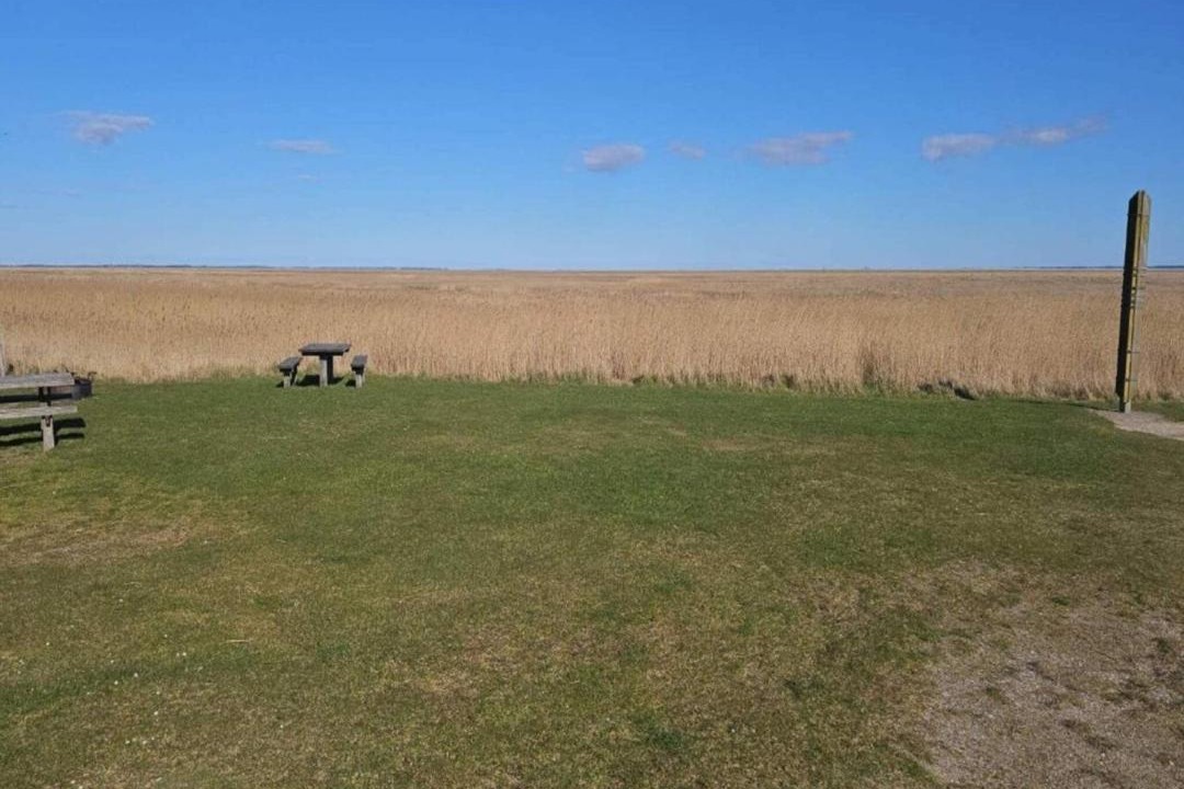 Photo of Others in Sønderho