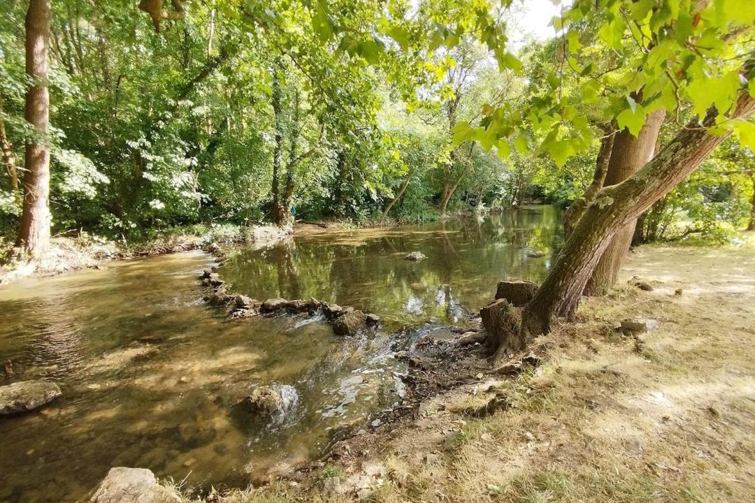 Photo of Others in Chasseneuil-du-Poitou