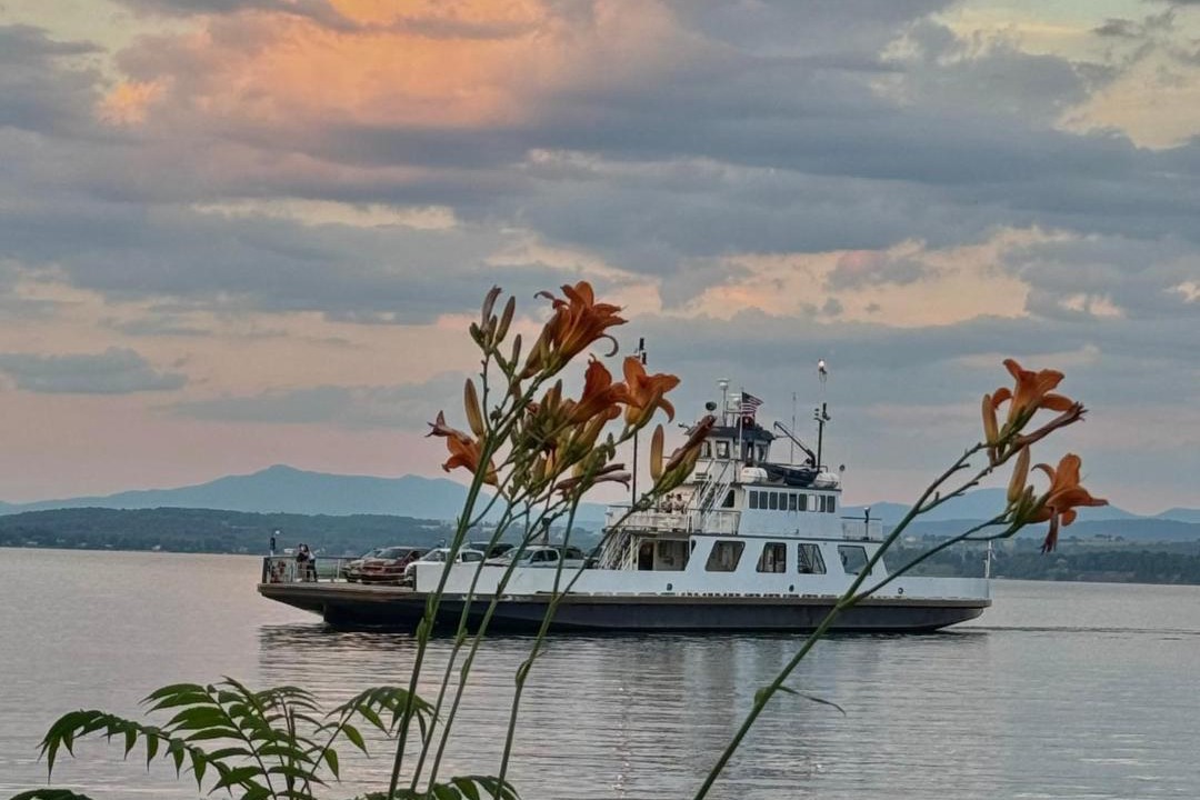 Photo of Others in Essex