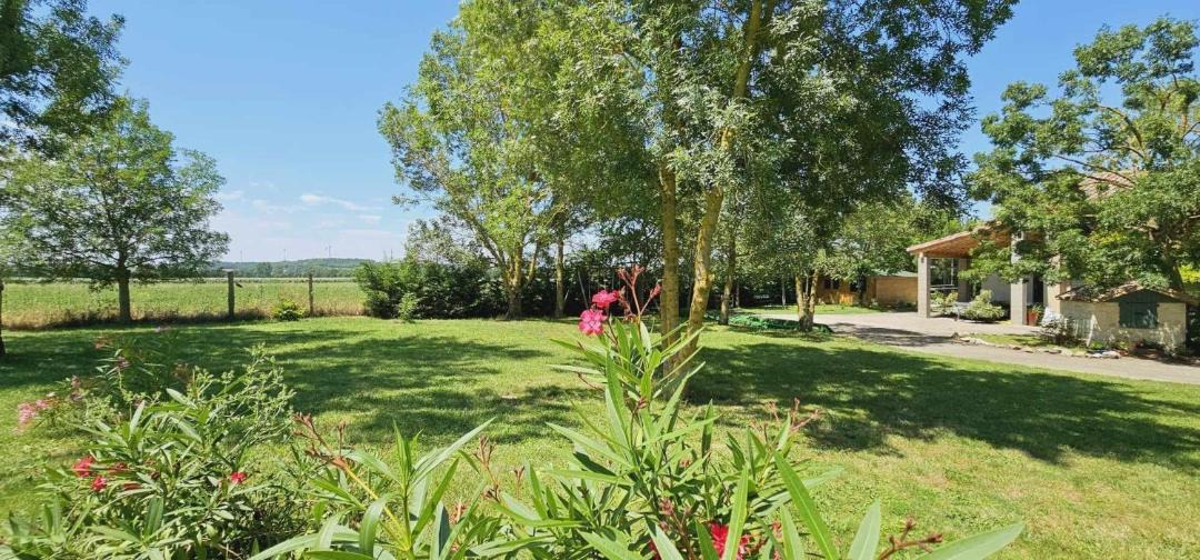 Photo of Others in Saint-Felix-Lauragais
