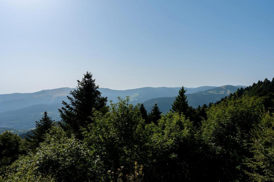 Photo of Others in Metzeral