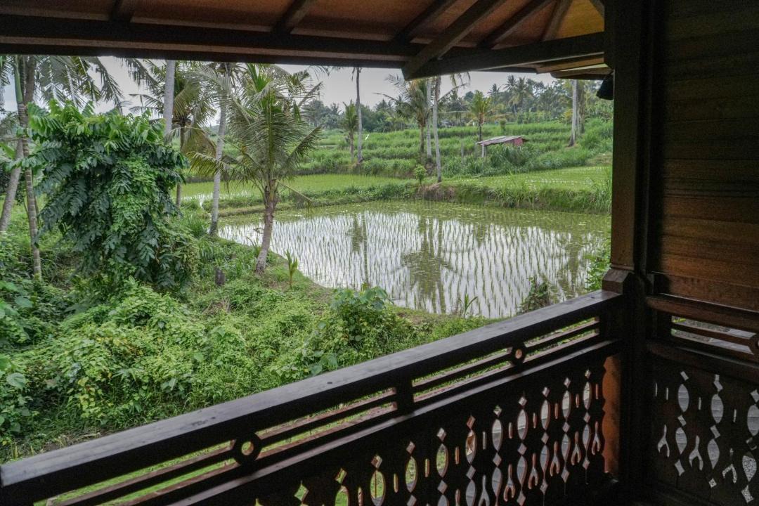 Photo of Others in Blahbatuh