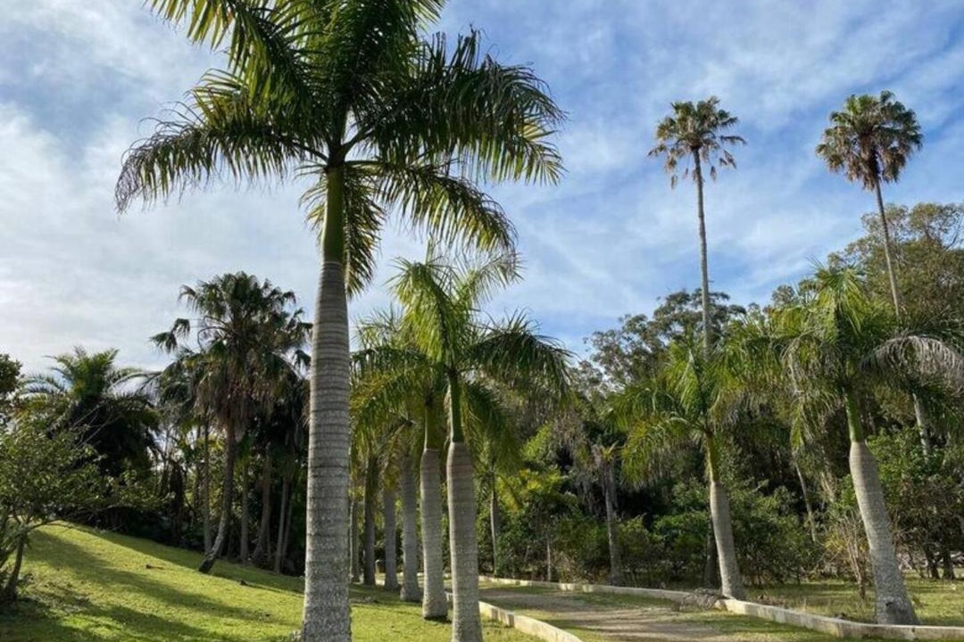 Photo of Others in Wallis Lake